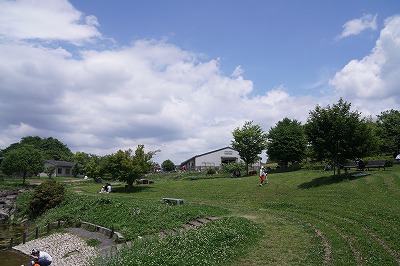 DSC00745