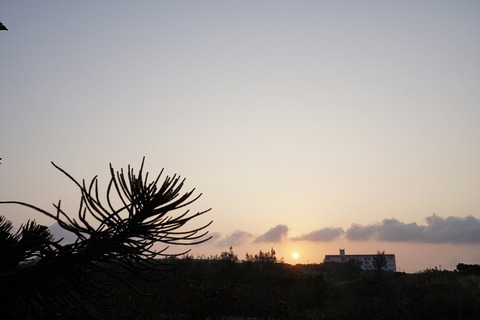 DSC00342