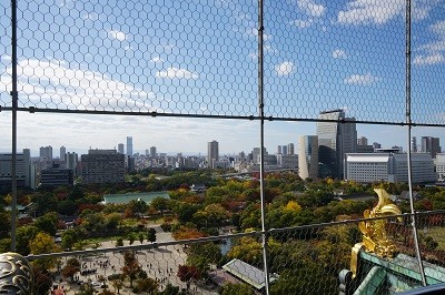 DSC01305 - コピー