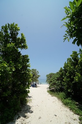 DSC00137