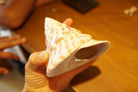 DSC00540