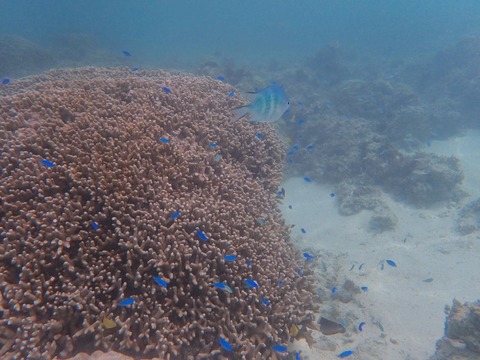 P8120396