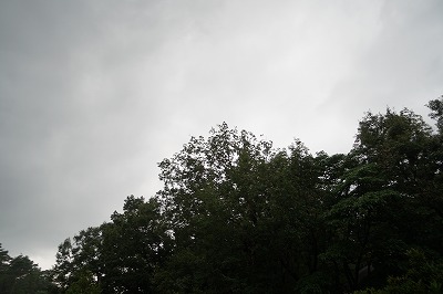 DSC06215
