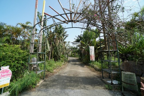 DSC00161