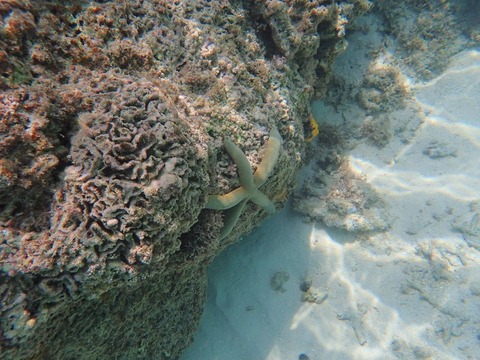P8120414