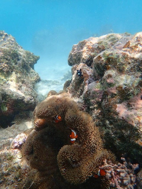 P8120345