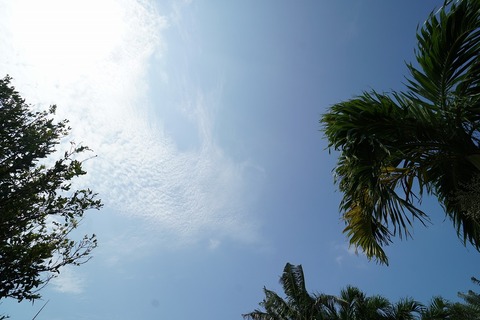 DSC00163