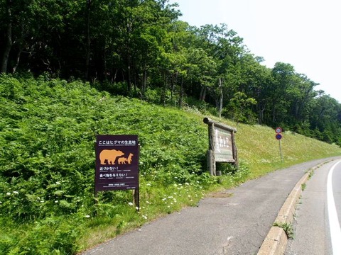 P7290322