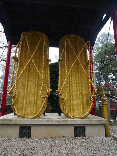 P4200099