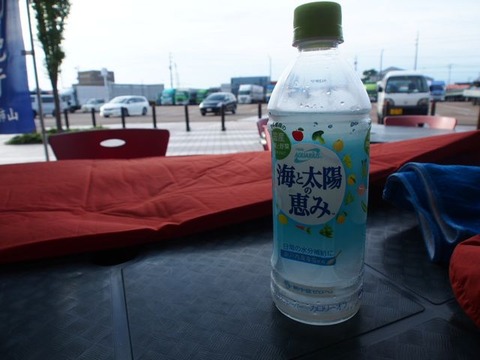 P8271329