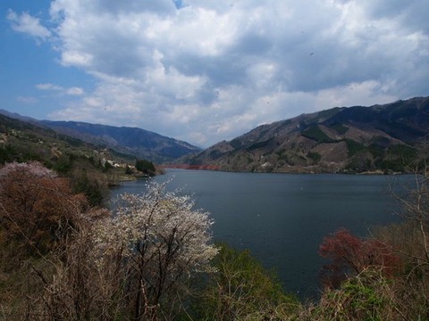 P4220206