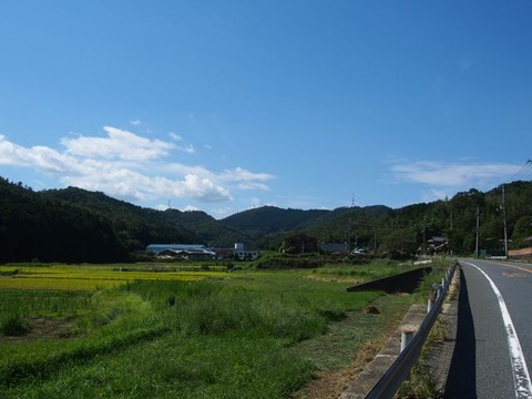 P9081857