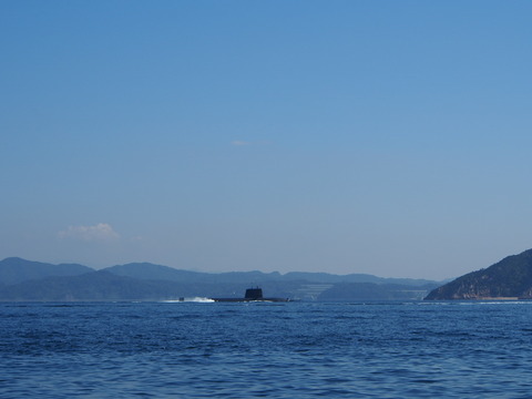 PA171295