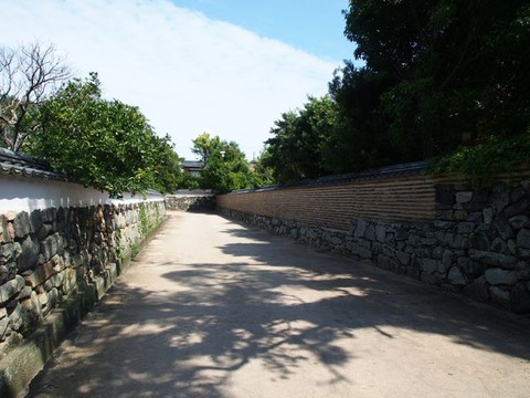 P9142230