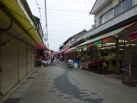 P8311568
