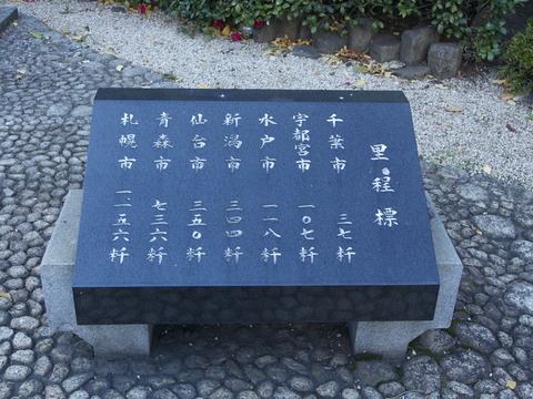 P1010352
