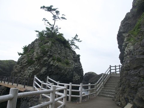 P8311563