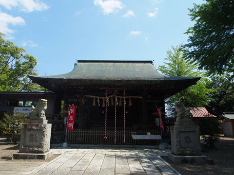 P5090766