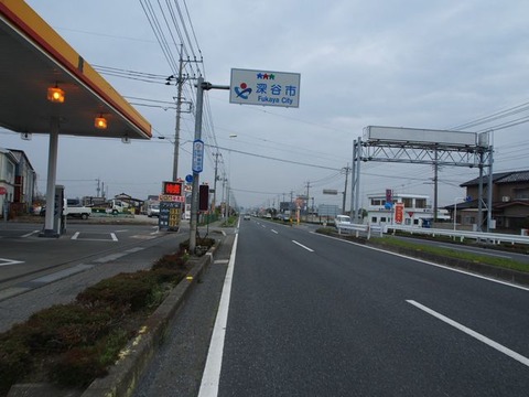P4200129