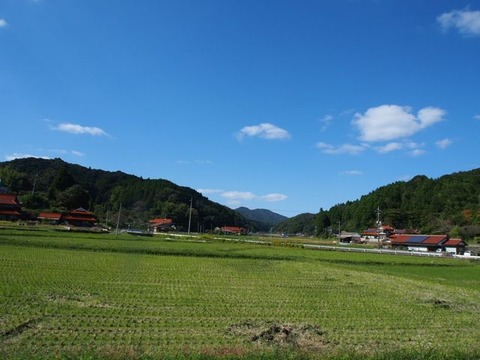 PA141053