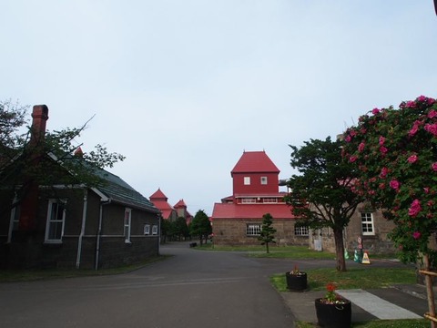 P6262064