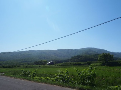 P6251989