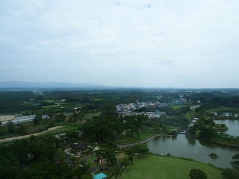 P8130794