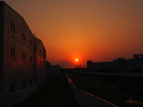 P1010431