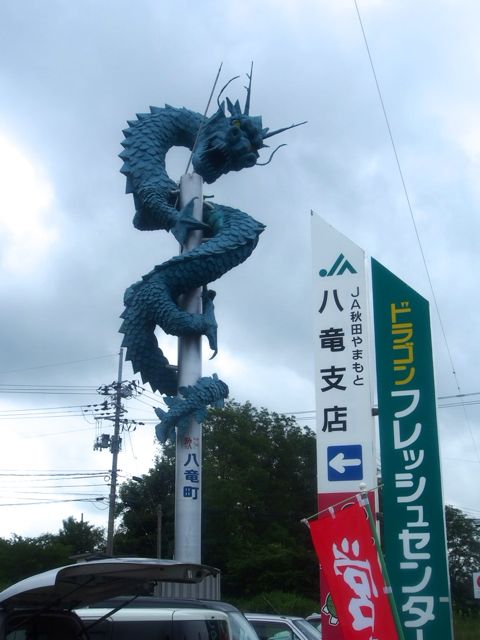 P8130782