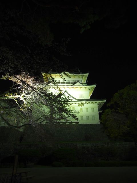 P1010441