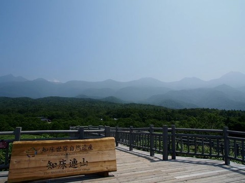 P7290329