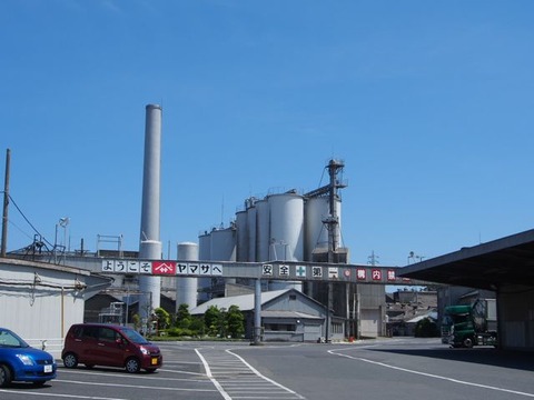 P5100802