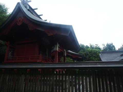 P8150834