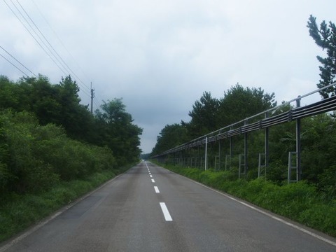 P8130783