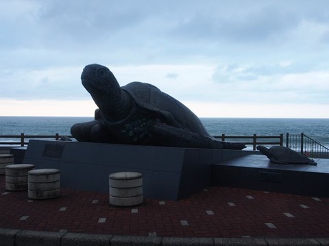 P8251280