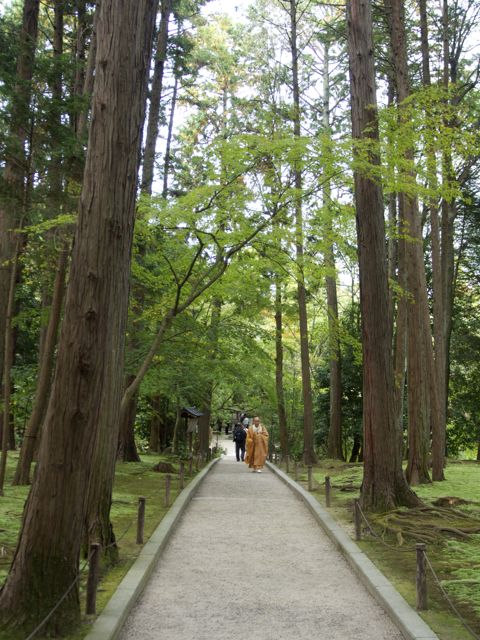 PB050019_2