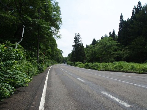 P8231163