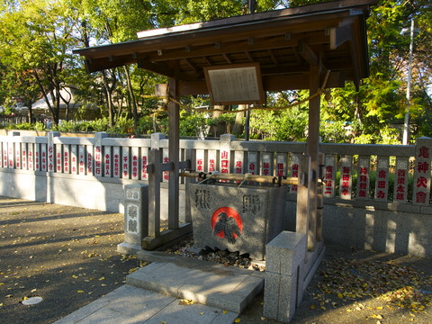 P1010402