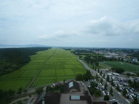 P8130795