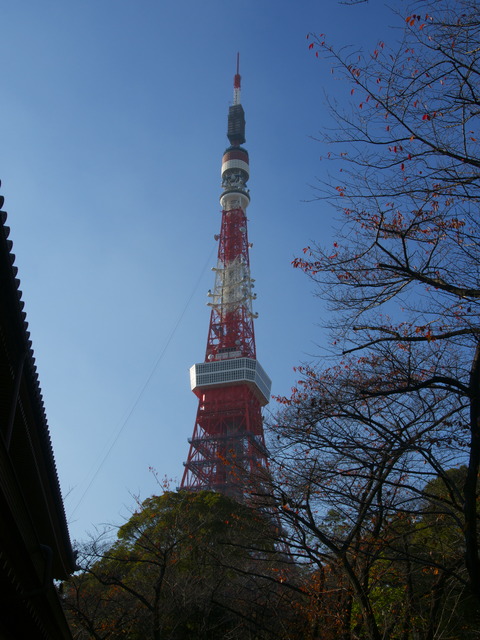 P1010407