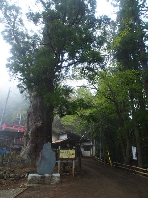 P4200086