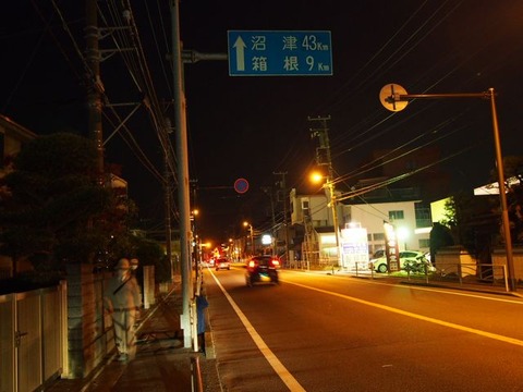 P1010433