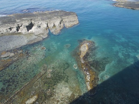 P6262028
