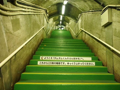 P8241213