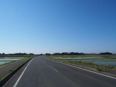 P5100778
