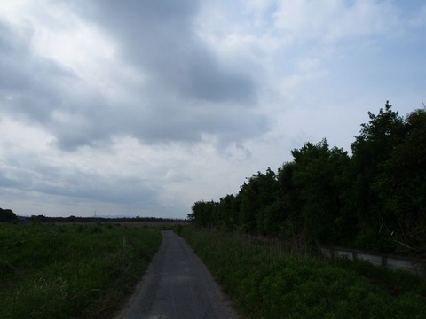 P5070597
