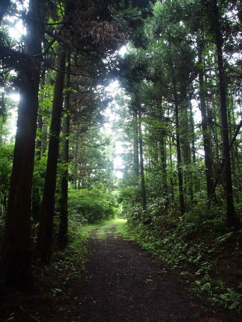 P8150830
