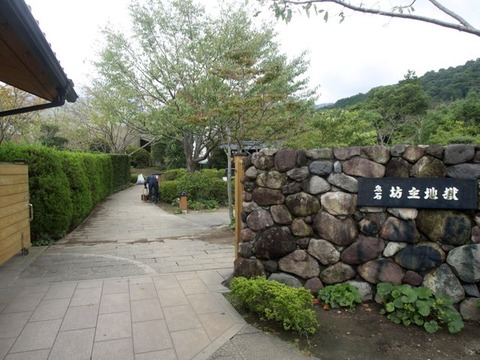 PA130953