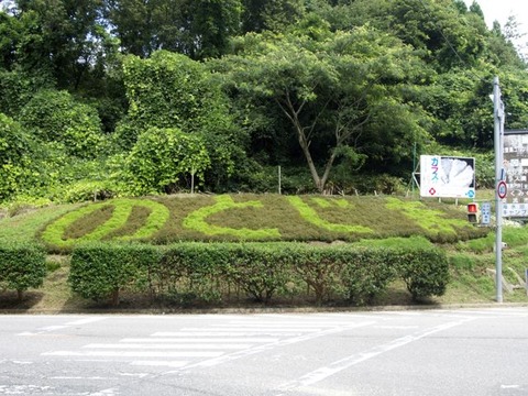 P8271354