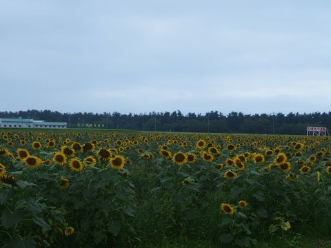P8150820